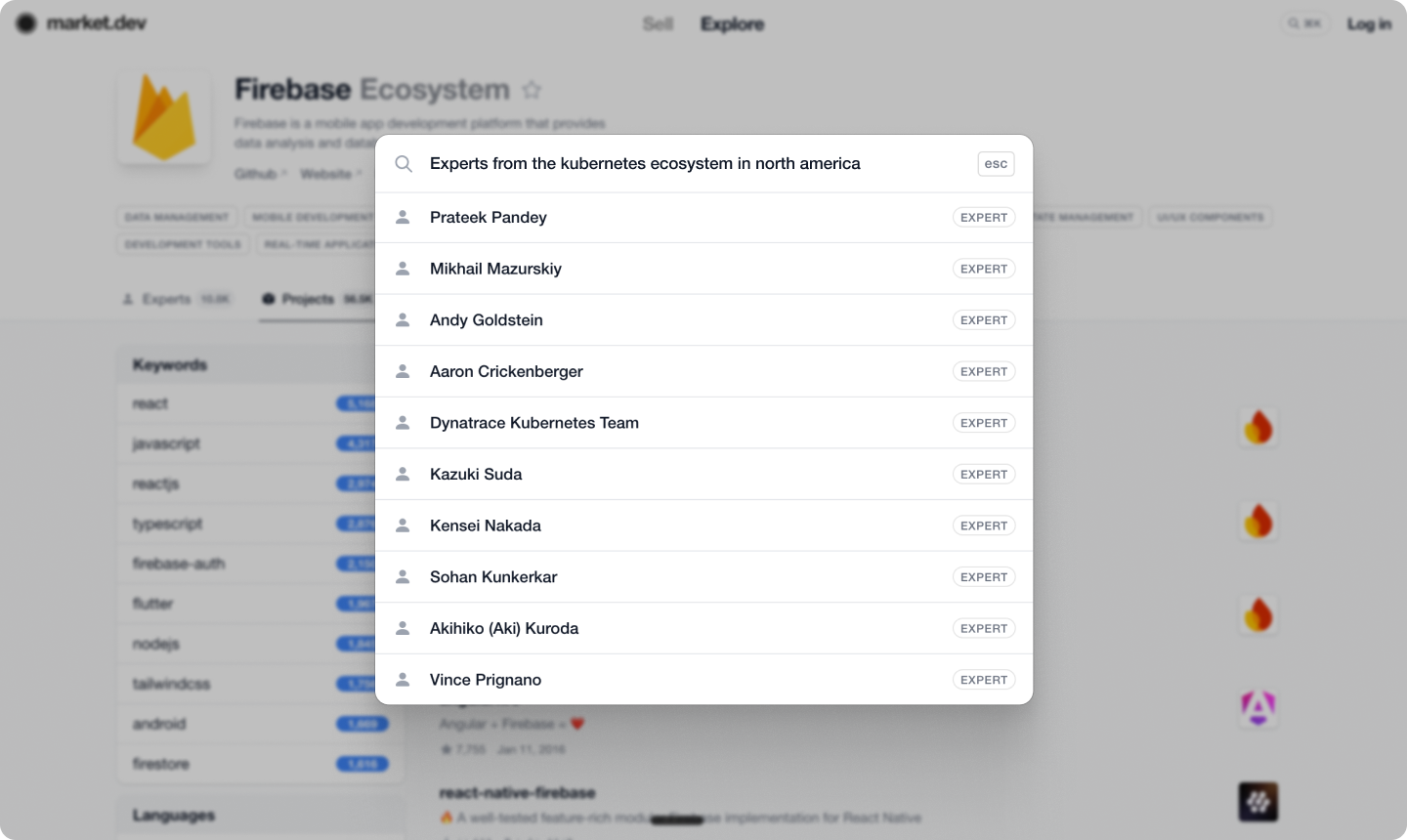 Search box for experts from the Kubernetes ecosystem in North America with project expert and ecosystem services results 